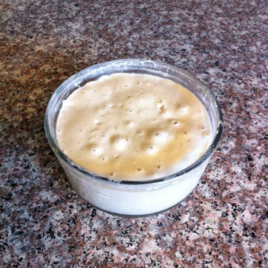 Sourdough Starter